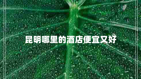 昆明哪里的酒店便宜又好 昆明哪里的酒店便宜又好