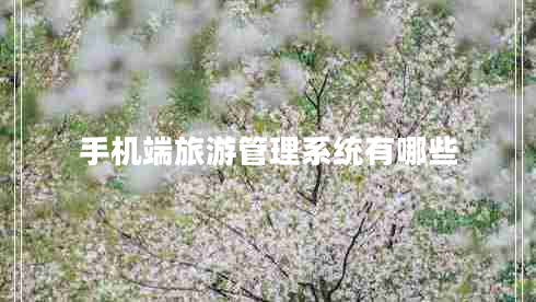 手機端旅游管理系統(tǒng)有哪些