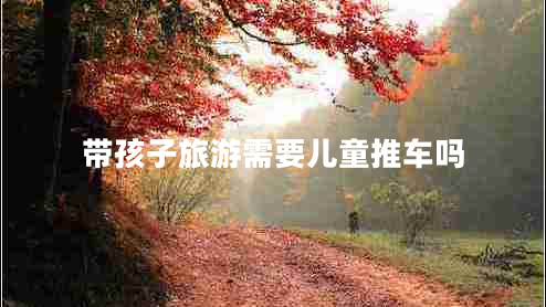 帶孩子旅游需要兒童推車嗎