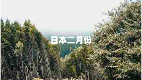 日本二月份 日本二月份
