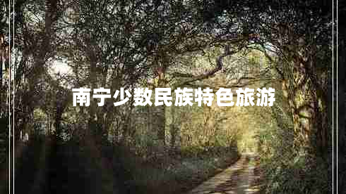 南寧少數(shù)民族特色旅游 南寧少數(shù)民族特色旅游
