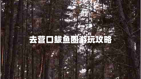 去營口鲅魚圈游玩攻略