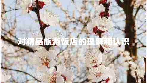 對(duì)精品旅游飯店的理解和認(rèn)識(shí)