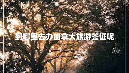 到哪里去辦加拿大旅游簽證呢 到哪里去辦加拿大旅游簽證呢