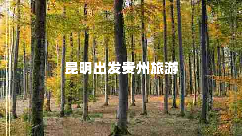 昆明出發(fā)貴州旅游 昆明出發(fā)貴州旅游