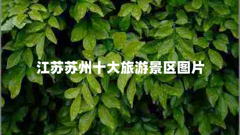 江蘇蘇州十大旅游景區(qū)圖片 江蘇蘇州十大旅游景區(qū)圖片