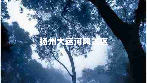 揚(yáng)州大運(yùn)河風(fēng)景區(qū) 揚(yáng)州大運(yùn)河風(fēng)景區(qū)