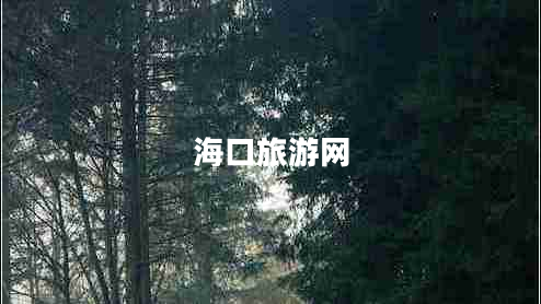 海口旅游網(wǎng)