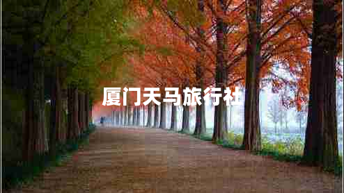 廈門天馬旅行社