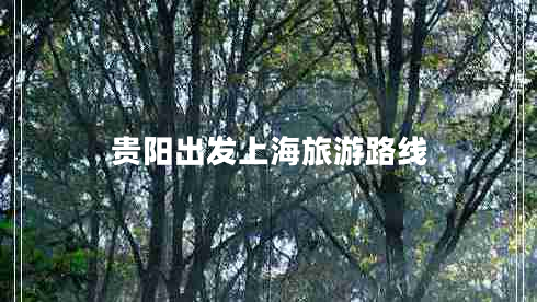 貴陽出發(fā)上海旅游路線