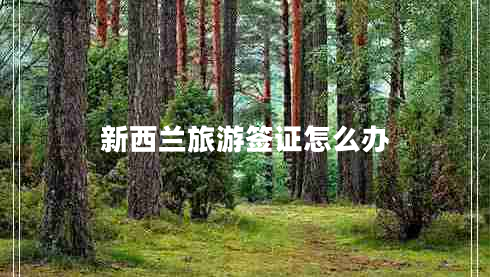 新西蘭旅游簽證怎么辦