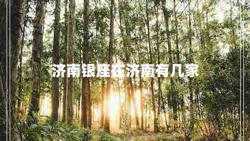 濟(jì)南銀座在濟(jì)南有幾家