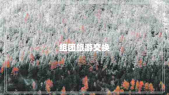 組團(tuán)旅游交換