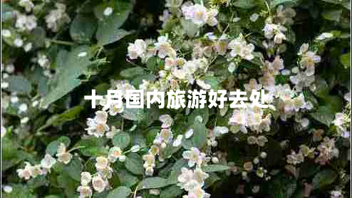 十月國內(nèi)旅游好去處