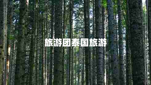 旅游團泰國旅游