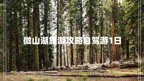 微山湖旅游攻略自駕游1日