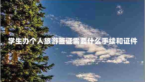 學生辦個人旅游簽證需要什么手續(xù)和證件