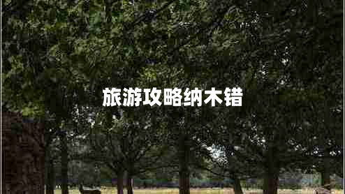 旅游攻略納木錯(cuò)