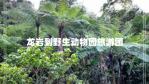 龍巖到野生動(dòng)物園旅游團(tuán)