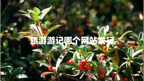 旅游游記哪個網(wǎng)站發(fā)行
