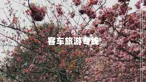 客車旅游專線