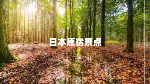 日本原宿景點(diǎn)