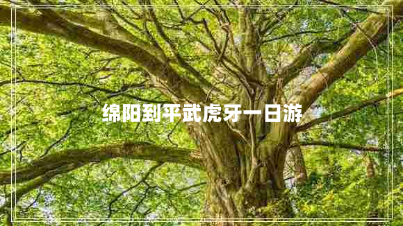綿陽到平武虎牙一日游