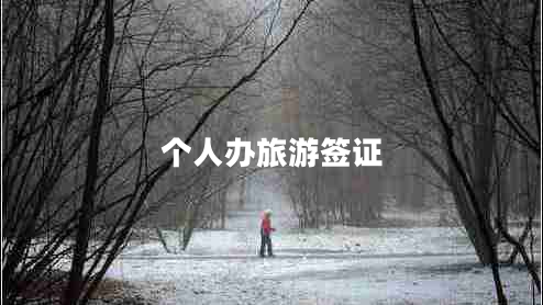 個(gè)人辦旅游簽證 個(gè)人辦旅游簽證