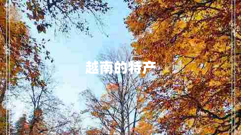 越南的特產(chǎn)