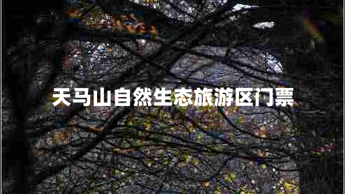 天馬山自然生態(tài)旅游區(qū)門票