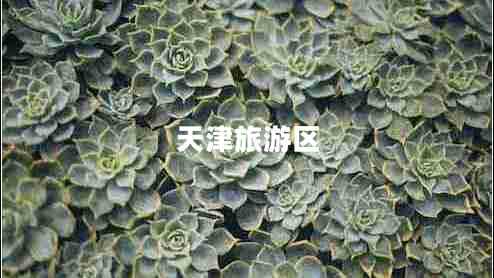 天津旅游區(qū) 天津旅游區(qū)