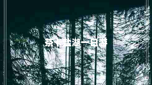 茶卡鹽湖一日游