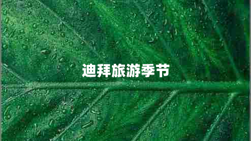 迪拜旅游季節(jié) 迪拜旅游季節(jié)