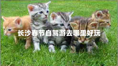 長(zhǎng)沙春節(jié)自駕游去哪里好玩 長(zhǎng)沙春節(jié)自駕游去哪里好玩