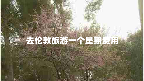 去倫敦旅游一個星期費用 去倫敦旅游一個星期費用