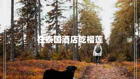 在泰國酒店吃榴蓮 在泰國酒店吃榴蓮