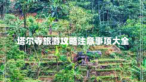 塔爾寺旅游攻略注意事項(xiàng)大全 塔爾寺旅游攻略注意事項(xiàng)大全