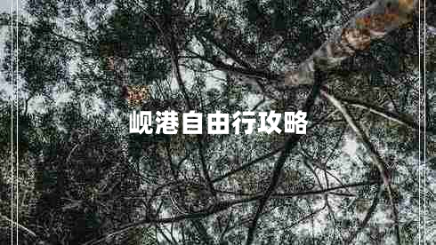 峴港自由行攻略 峴港自由行攻略