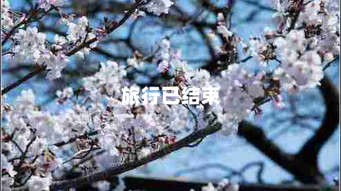 旅行已結(jié)束