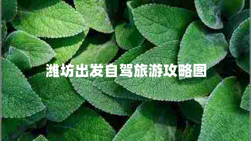 濰坊出發(fā)自駕旅游攻略圖 濰坊出發(fā)自駕旅游攻略圖