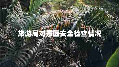 旅游局對景區(qū)安全檢查情況