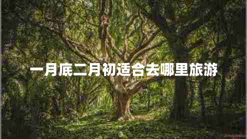 一月底二月初適合去哪里旅游