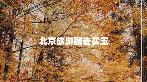 北京旅游團去買玉