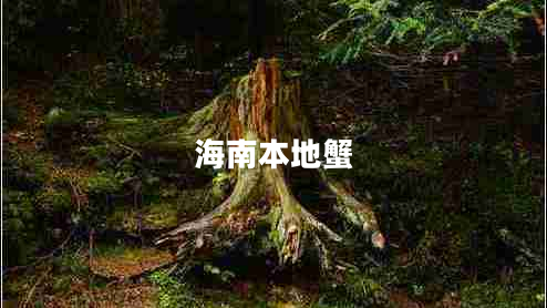 海南本地蟹 海南本地蟹