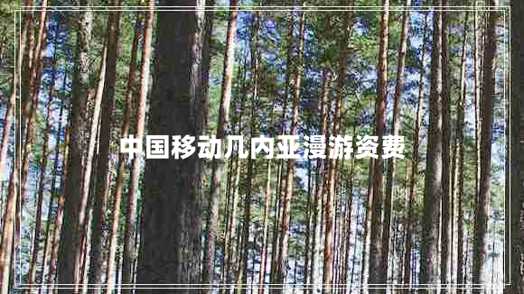 中國移動(dòng)幾內(nèi)亞漫游資費(fèi) 中國移動(dòng)幾內(nèi)亞漫游資費(fèi)