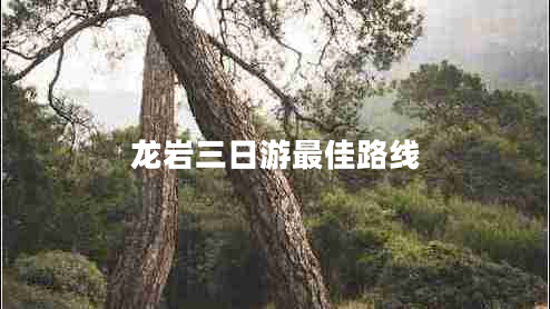 龍巖三日游最佳路線