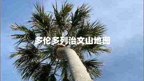 多倫多列治文山地圖