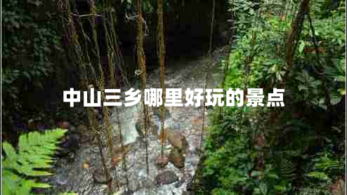 中山三鄉(xiāng)哪里好玩的景點