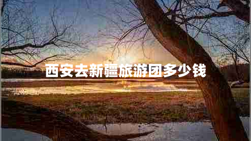 西安去新疆旅游團(tuán)多少錢