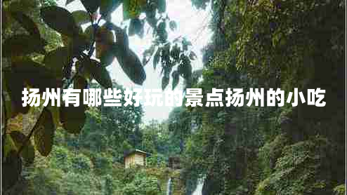 揚州有哪些好玩的景點揚州的小吃